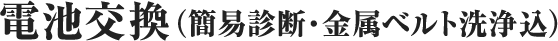 電池交換（簡易診断・金属ベルト洗浄込）